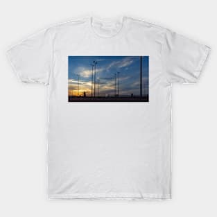 sunset at the park T-Shirt